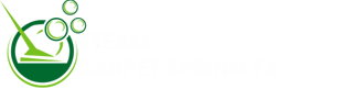 logo steam carpet spring tx