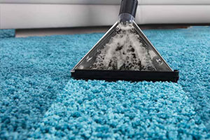 professional carpet cleaners Spring TX